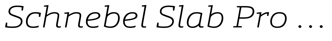Schnebel Slab Pro Expanded Thin Italic
